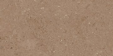 NP03 30,6x60,9x8 Непол. (Керамический гранит)
