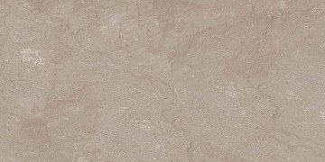 AEM02 60x120x9 Непол.Рект. (Керамический гранит)