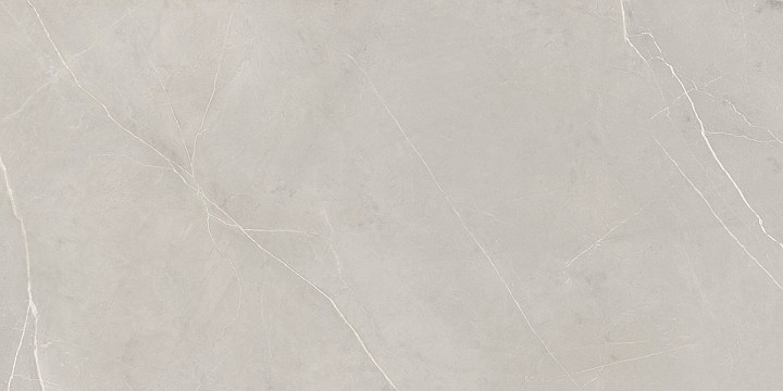 Плитка из керамогранита nl02 60x120x10 непол.рект. (керамический гранит)