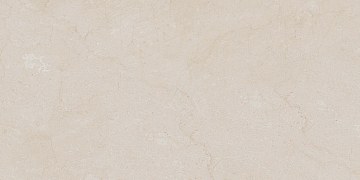 AEM00 60x120x9 Непол.Рект. (Керамический гранит)