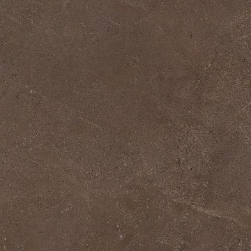 GO03 60x60 Непол.Рект. (Керамический гранит)