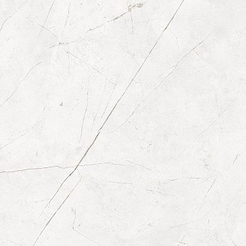NL00 60x60x10 Непол.Рект. (Керамический гранит)