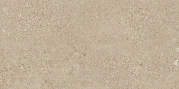 NP02 30,6x60,9x8 Непол. (Керамический гранит)