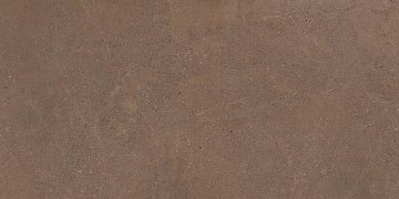 GO02 60x120x10 Непол.Рект. (Керамический гранит)