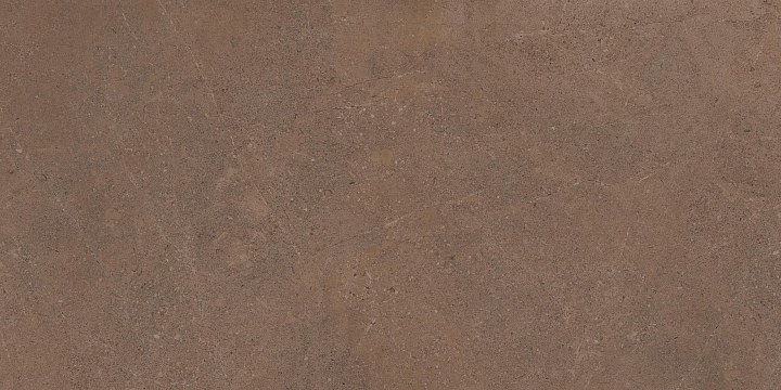 GO02 60x120x10 Непол.Рект. (Керамический гранит)