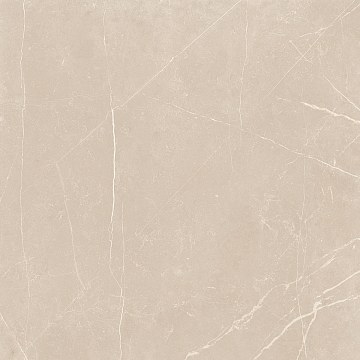 NL01 60x60x9 Полир. (Керамический гранит)