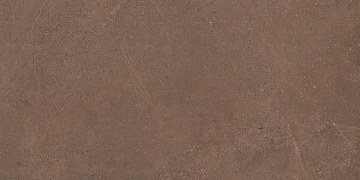 GO02 60x120x9 Непол.Рект. (Керамический гранит)