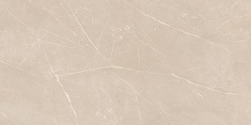 NL01 60x120x10 Непол.Рект. (Керамический гранит)