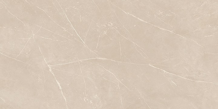 Плитка из керамогранита nl01 60x120x10 непол.рект. (керамический гранит)
