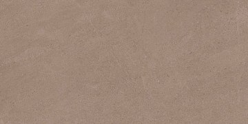 GO01 60x120x9 Непол.Рект. (Керамический гранит)