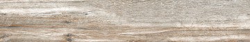 BG00 19,4x120x10 Непол.Рект. (Керамический гранит)