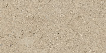NP02 30,6x60,9x8 Непол. (Керамический гранит)
