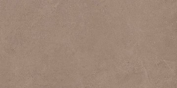 GO01 60x120x9 Непол.Рект. (Керамический гранит)
