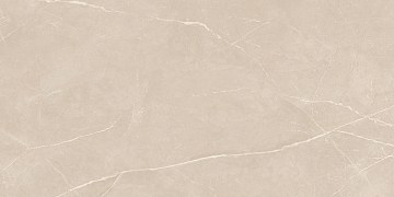 NL01 60x120x10 Непол.Рект. (Керамический гранит)