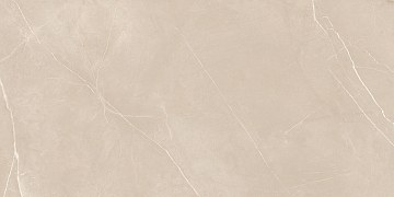 NL01 60x120x10 Непол.Рект. (Керамический гранит)