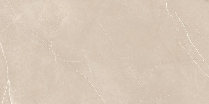 Плитка из керамогранита nl01 60x120x10 непол.рект. (керамический гранит)
