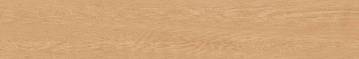 Плитка из керамогранита cw04 19,4х120х10 непол.рект. (керамический гранит)