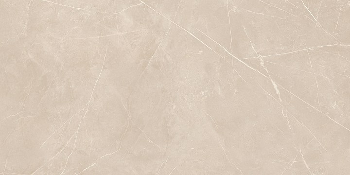 Плитка из керамогранита nl01 60x120x10 непол.рект. (керамический гранит)