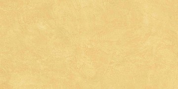 SR04 60x120х9 Непол.Рект. (Керамический гранит)