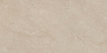 AEM01 60x120x9 Непол.Рект. (Керамический гранит)