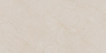 AEM00 60x120x9 Непол.Рект. (Керамический гранит)