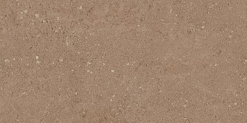 NP03 30,6x60,9x8 Непол. (Керамический гранит)
