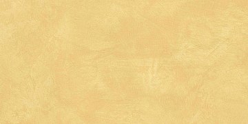 SR04 60x120х10 Непол.Рект. (Керамический гранит)