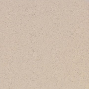 ST17 60x60 Непол.Рект. (Керамический гранит)