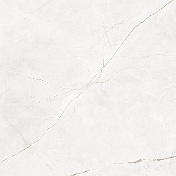 NL00 60x60x10 Непол.Рект. (Керамический гранит)