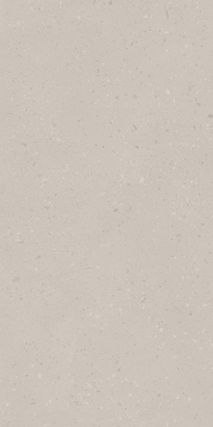 RO00 60x120x9 Непол.Рект. (Керамический гранит)