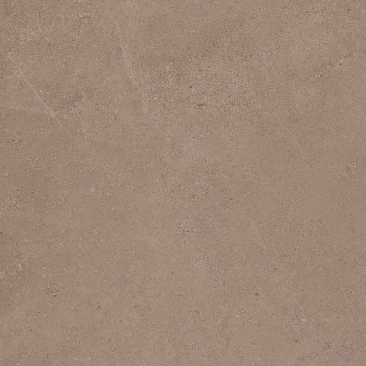 GO01 60x60 Непол.Рект. (Керамический гранит)