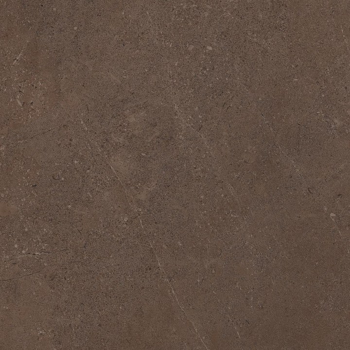 GO03 60x60 Непол.Рект. (Керамический гранит)